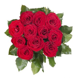 12 rote Rosen