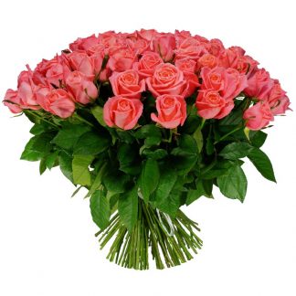 101 korallfarbene Rosen