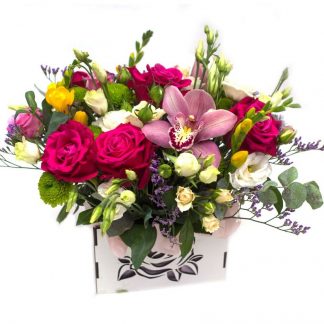 Bunte Box