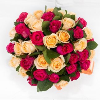 50 Rosen in Lachs und Fuchsia