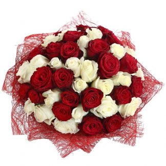Weiße und rote Rosen