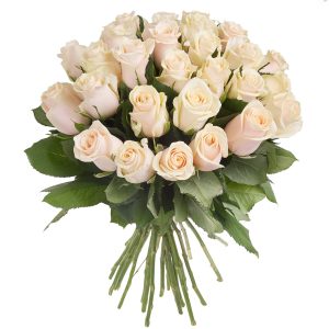 30 weiße Rosen