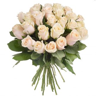 30 weiße Rosen